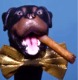 Greg's Dog's Avatar